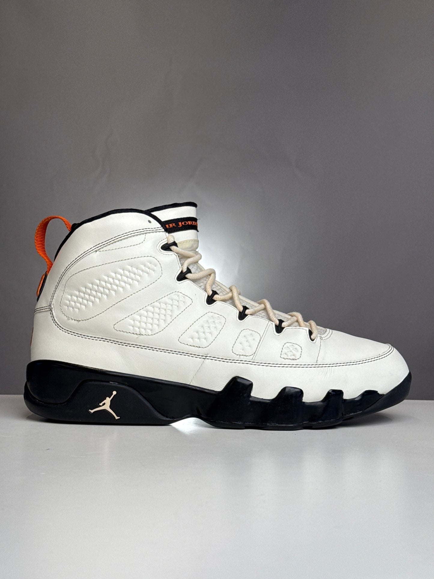 Air Jordan 9 Oregon State PE