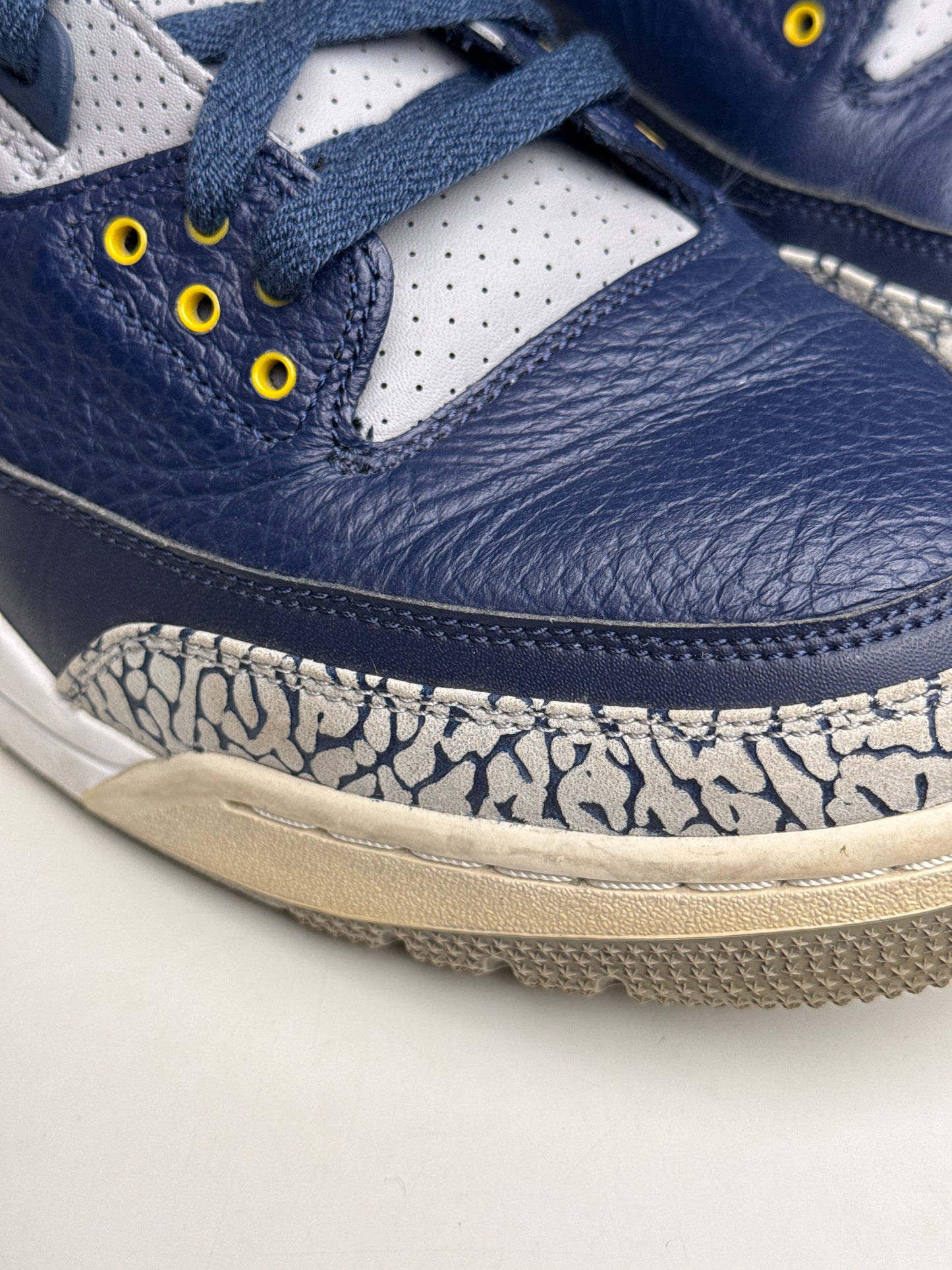 Air Jordan 3 Michigan PE