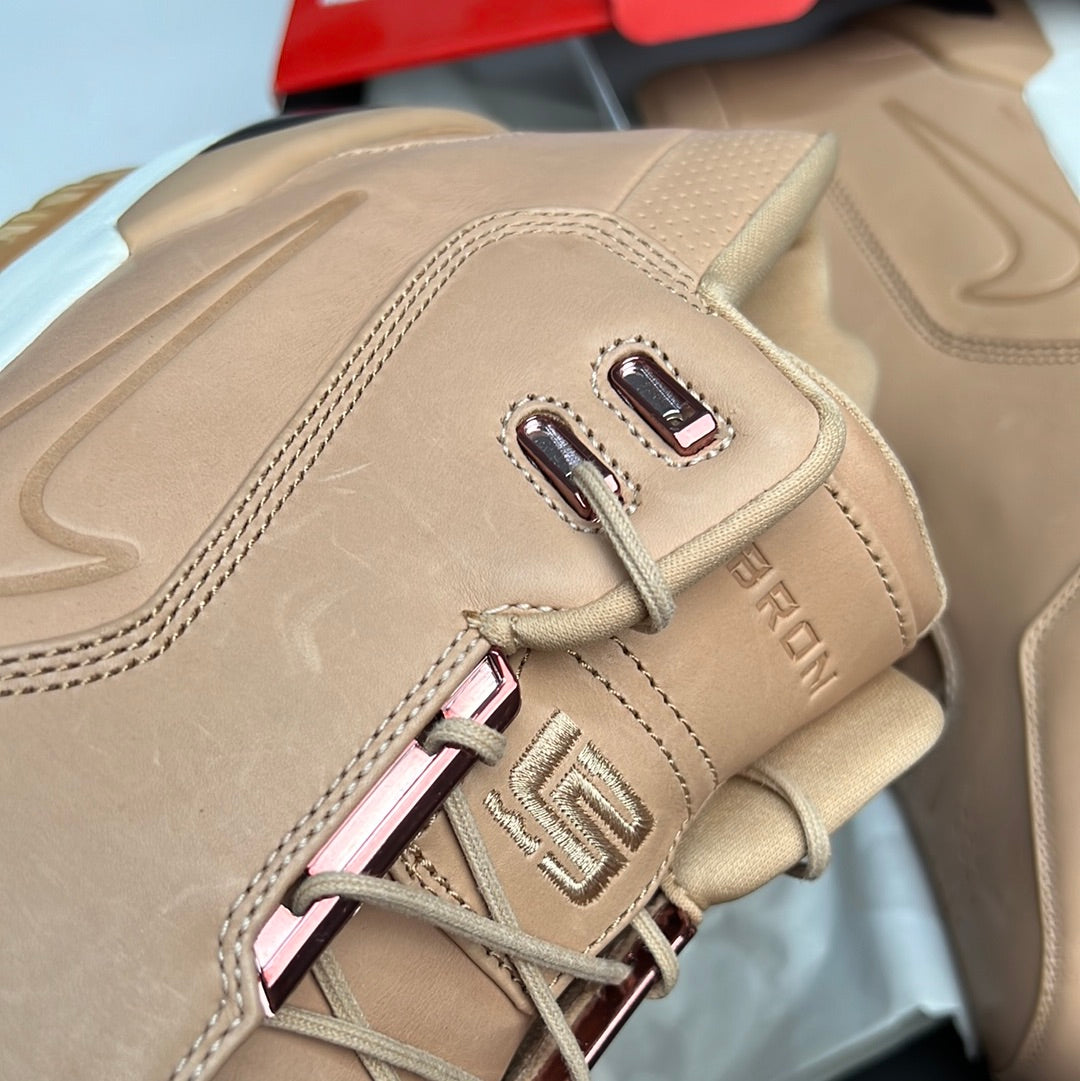 Nike LeBron Air Zoom Generation SAMPLE