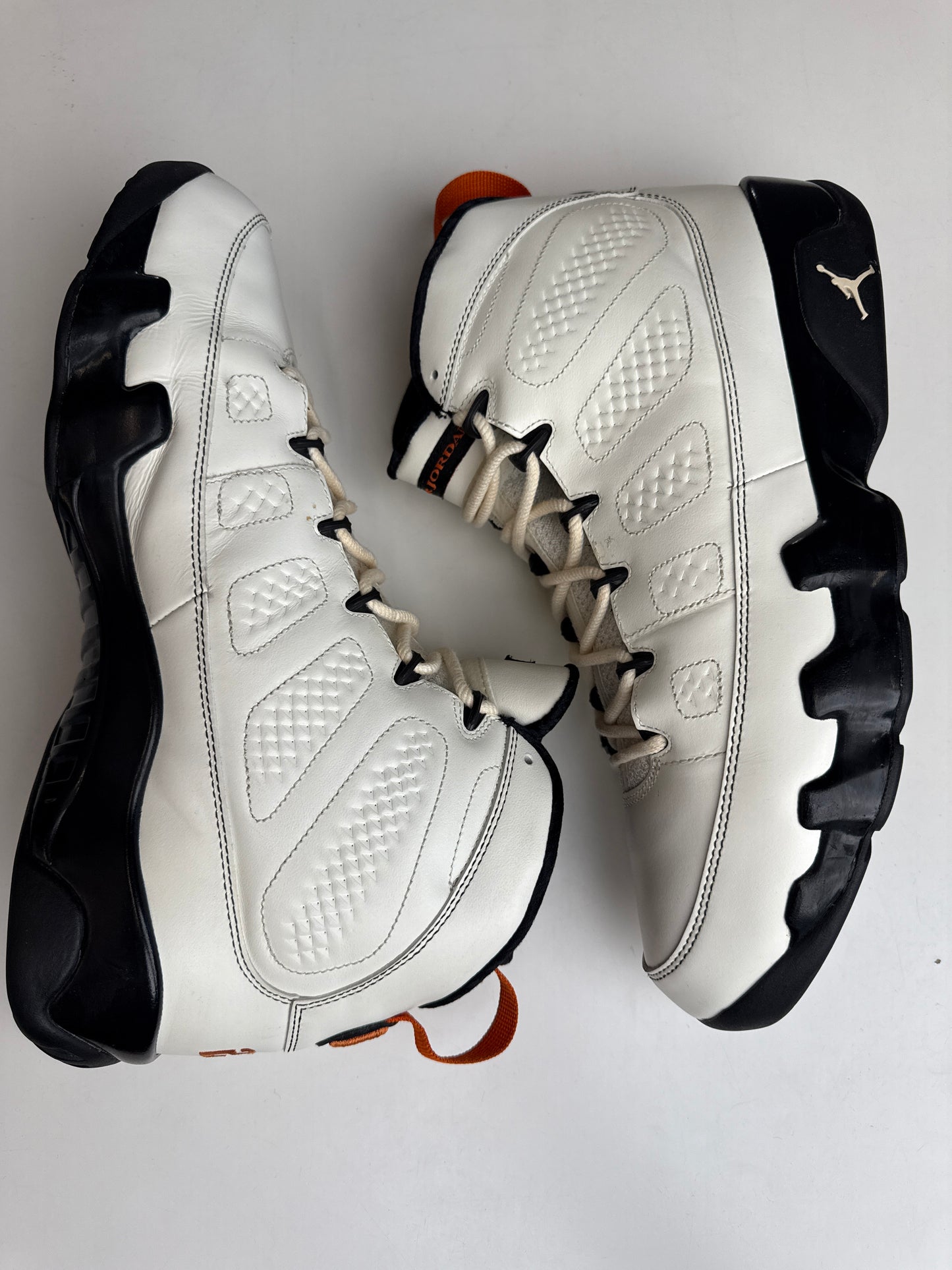 Air Jordan 9 Oregon State PE