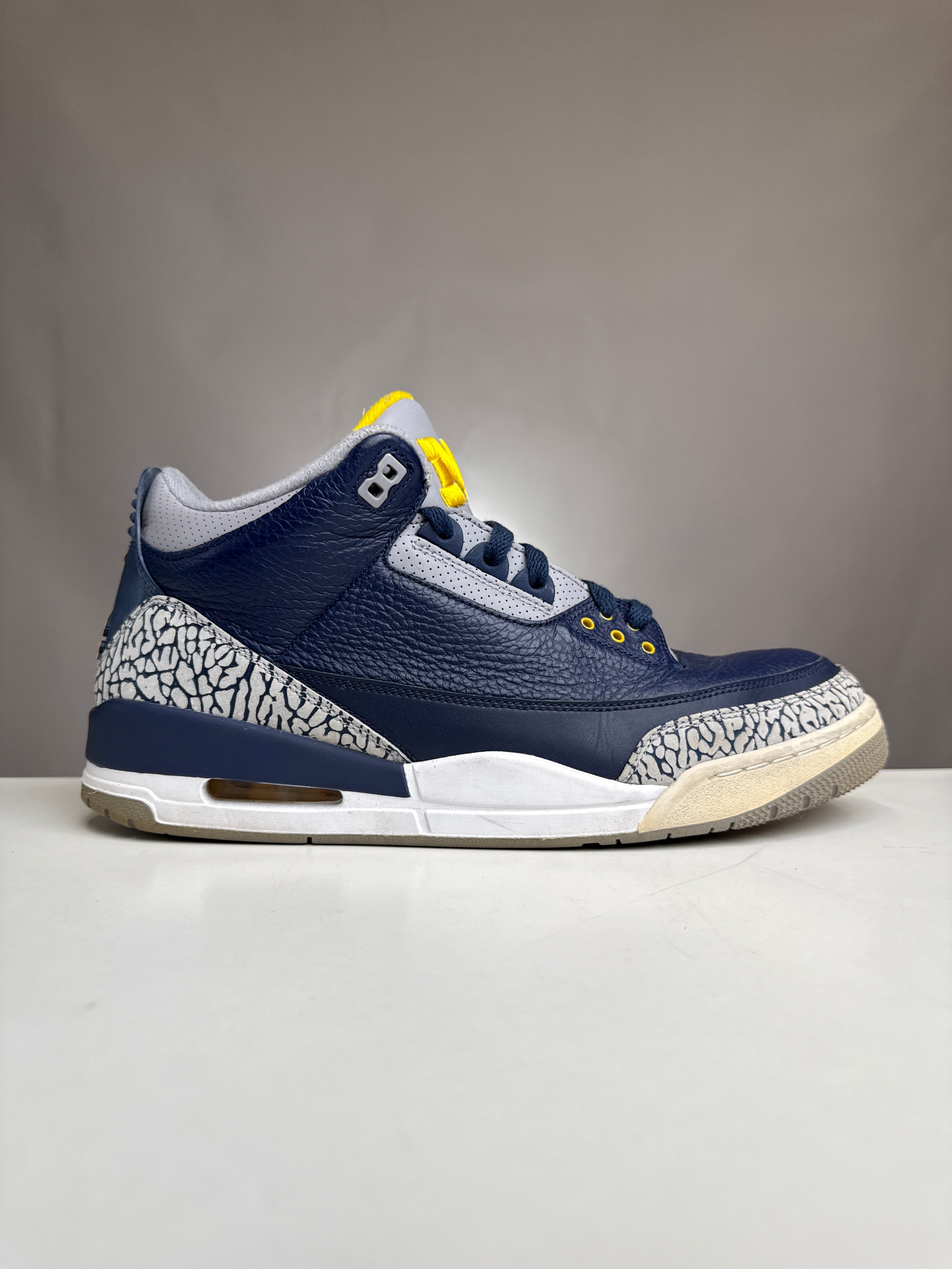 michigan 3s jordan