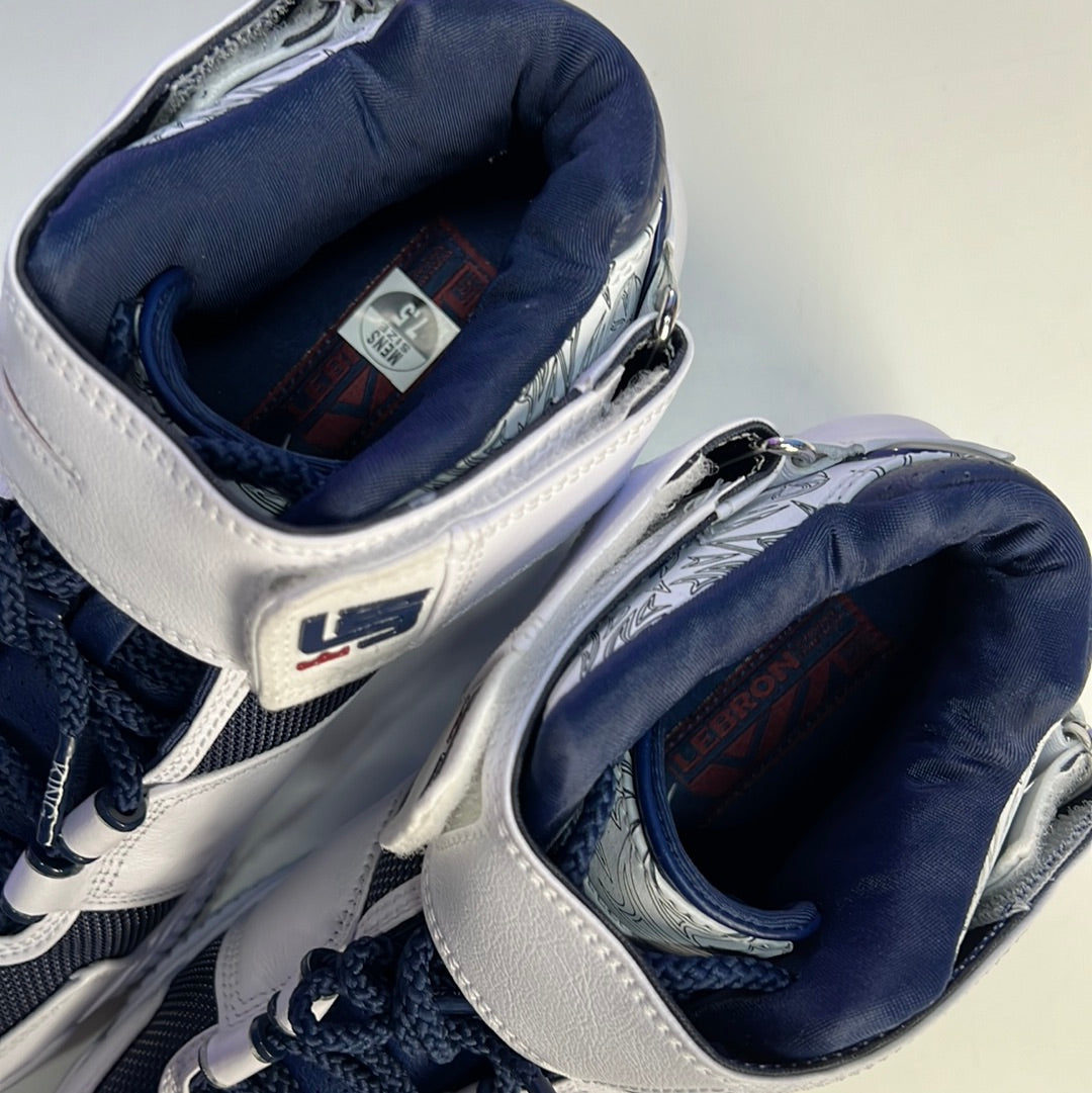 Nike LeBron 2 Olympic