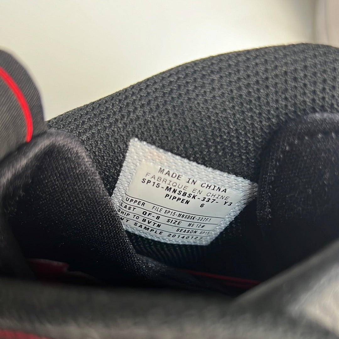 Nike Pippen 6 SAMPLE