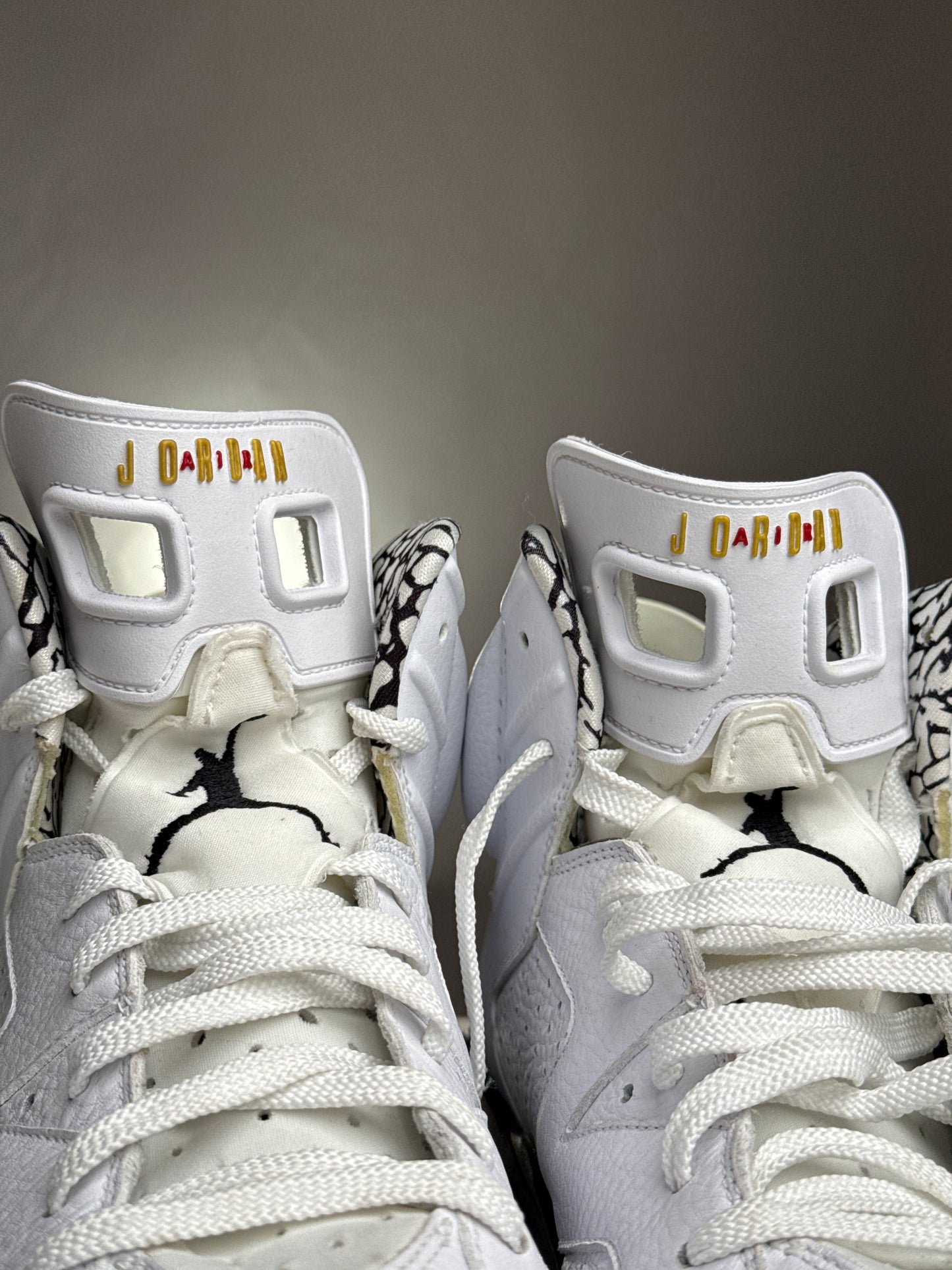 Air Jordan 6 Motorsport SAMPLE