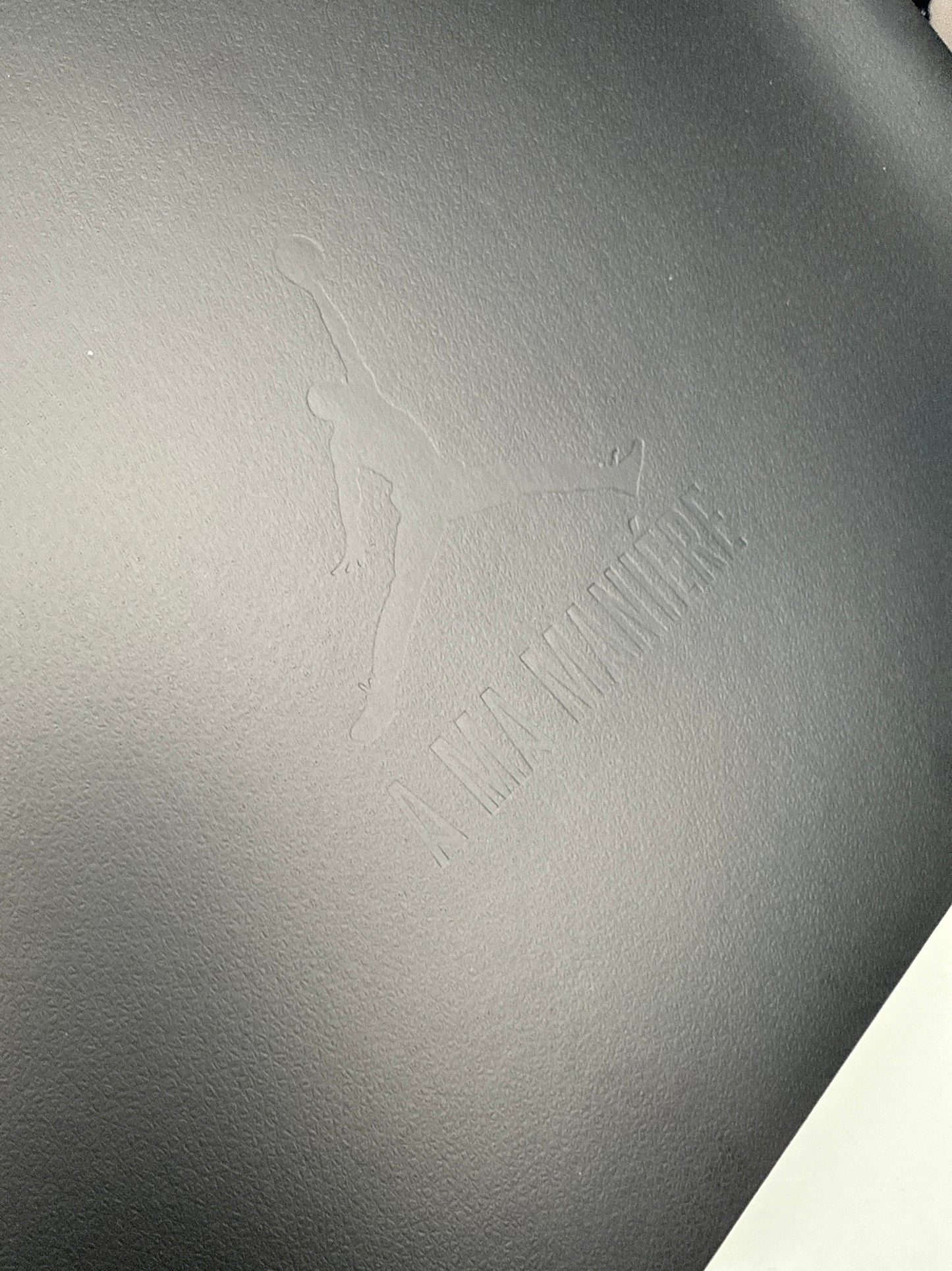 Air Jordan 6 A Ma Maniere (SZ 13)