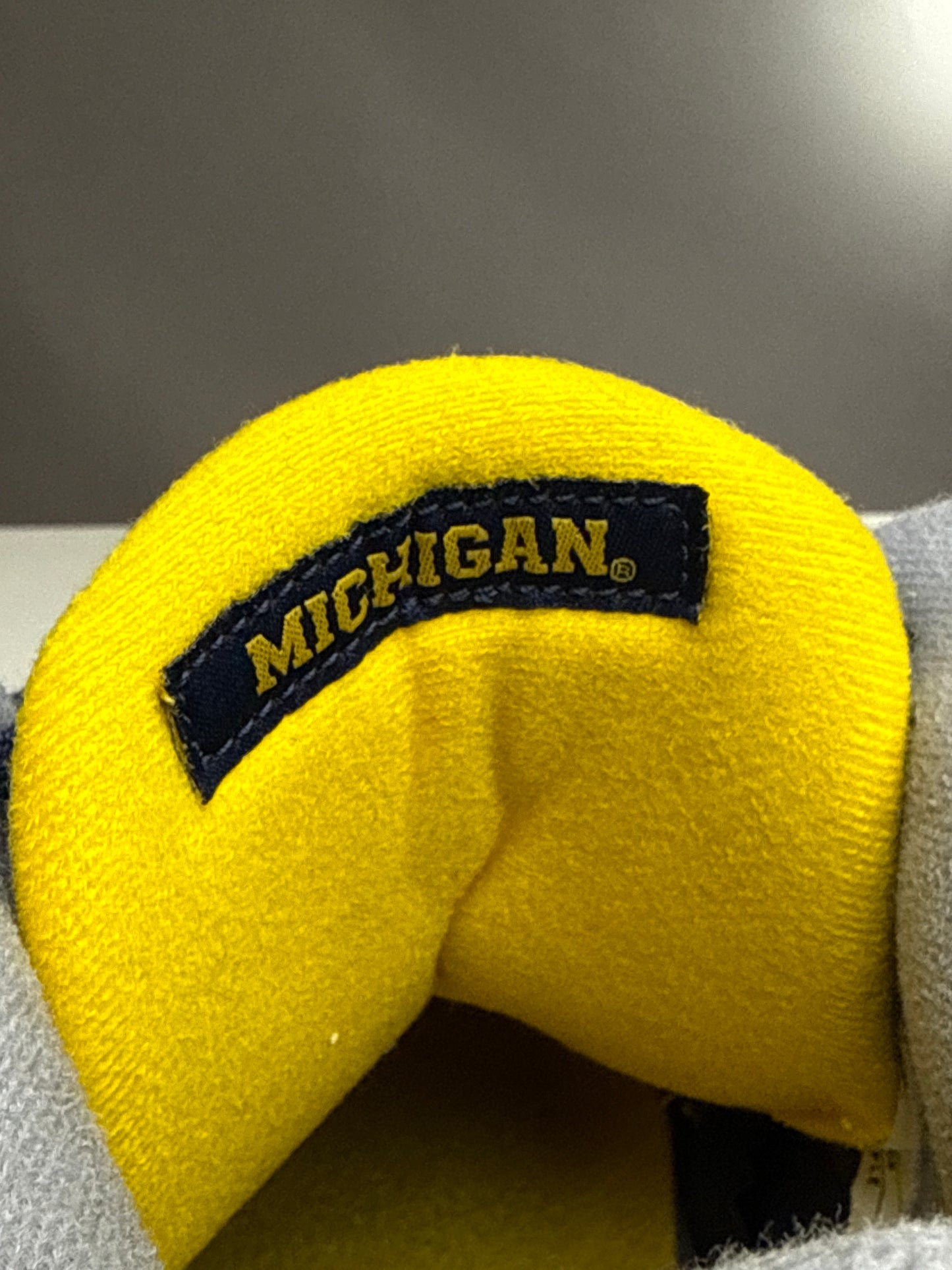 Air Jordan 3 Michigan PE