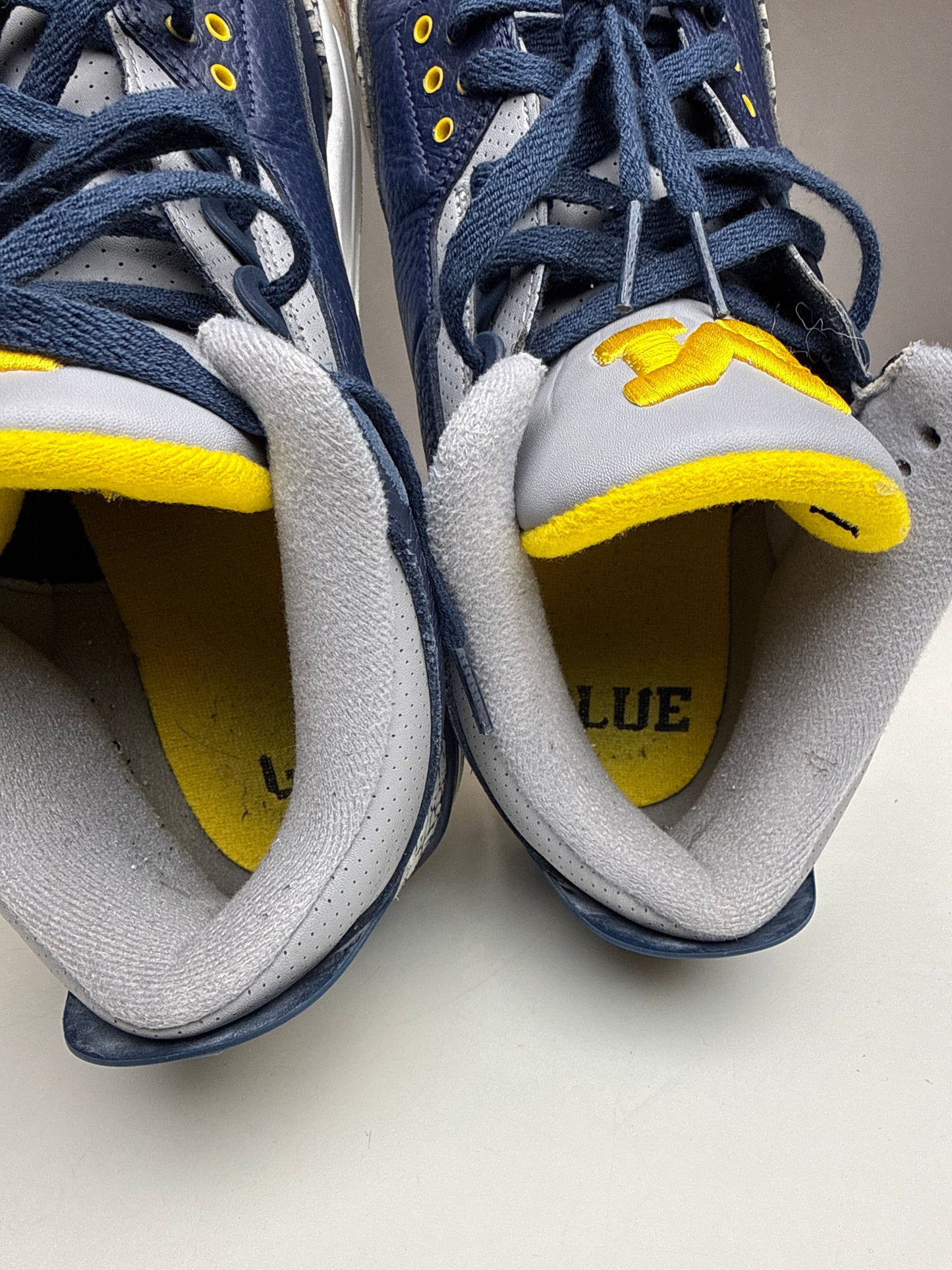 Air Jordan 3 Michigan PE