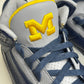 Air Jordan 3 Michigan PE