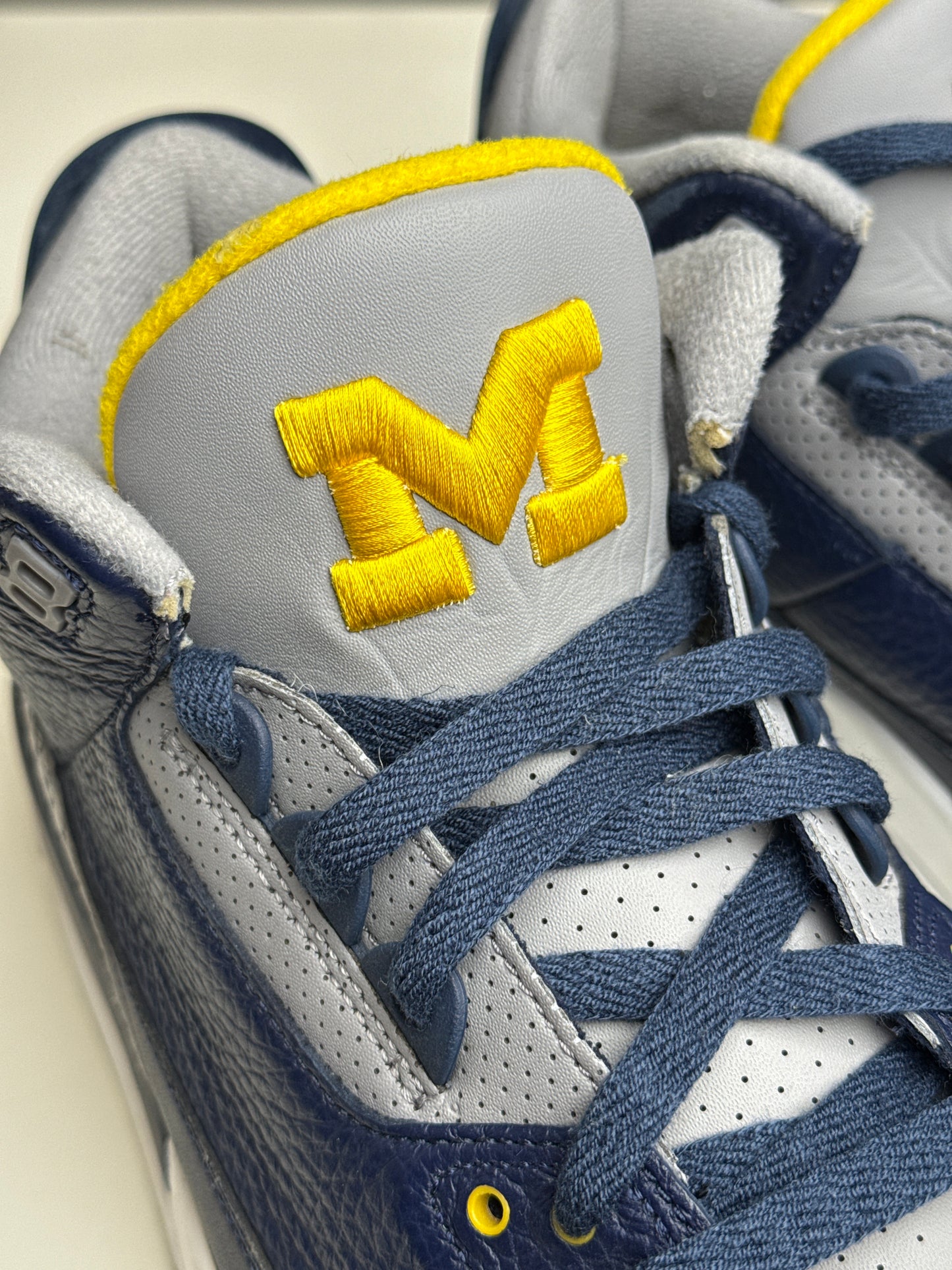 Air Jordan 3 Michigan PE