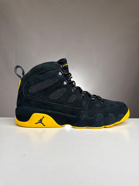 Air Jordan 9 Michigan PE (SZ 12)