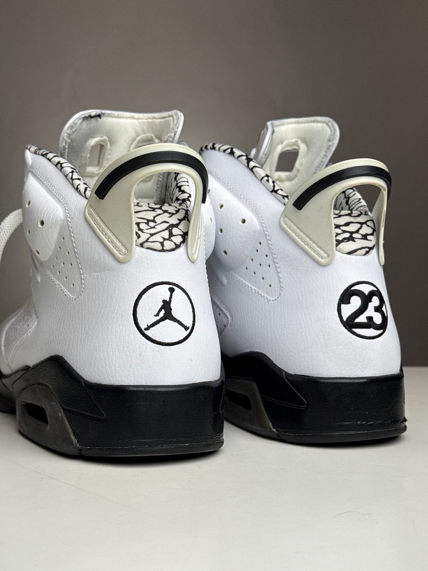 Air Jordan 6 Motorsport SAMPLE