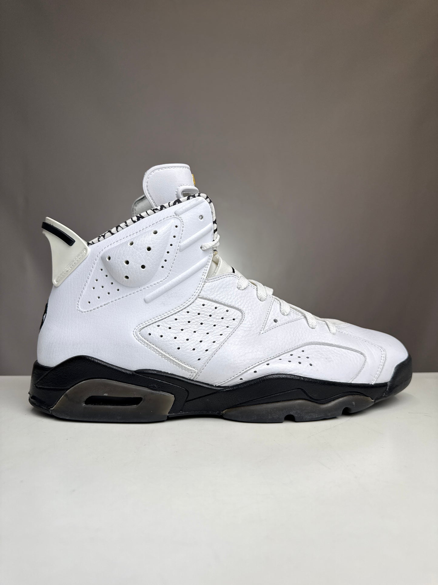 Air Jordan 6 Motorsport SAMPLE