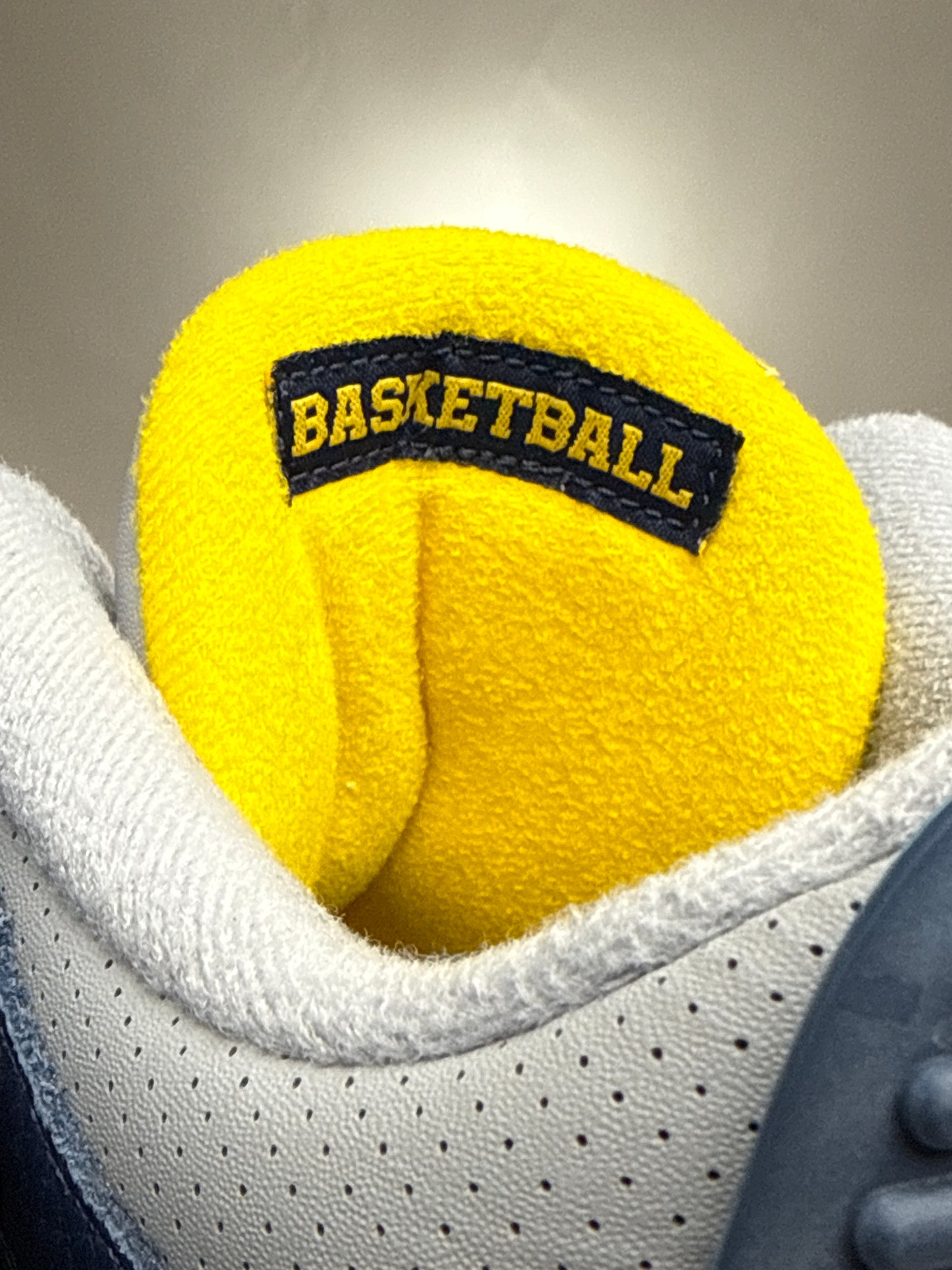 Air Jordan 3 Michigan PE