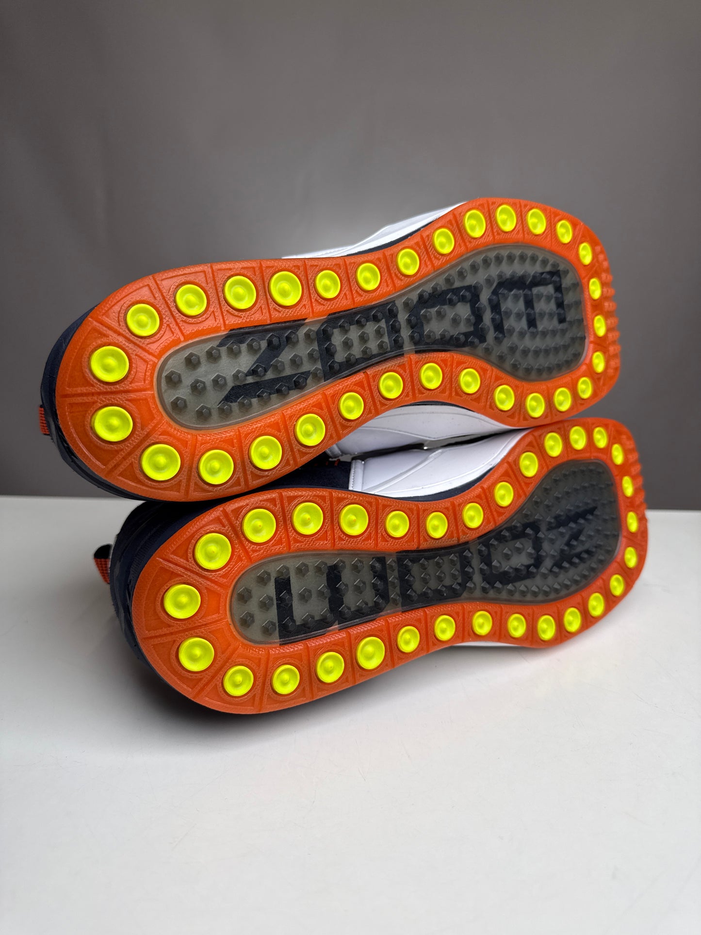 Nike Zoom Revis Trainer Bears PE