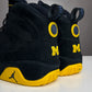 Air Jordan 9 Michigan PE (SZ 12)